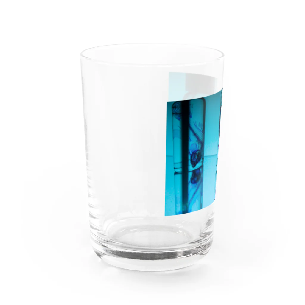 脳海の透明標本たち Water Glass :left