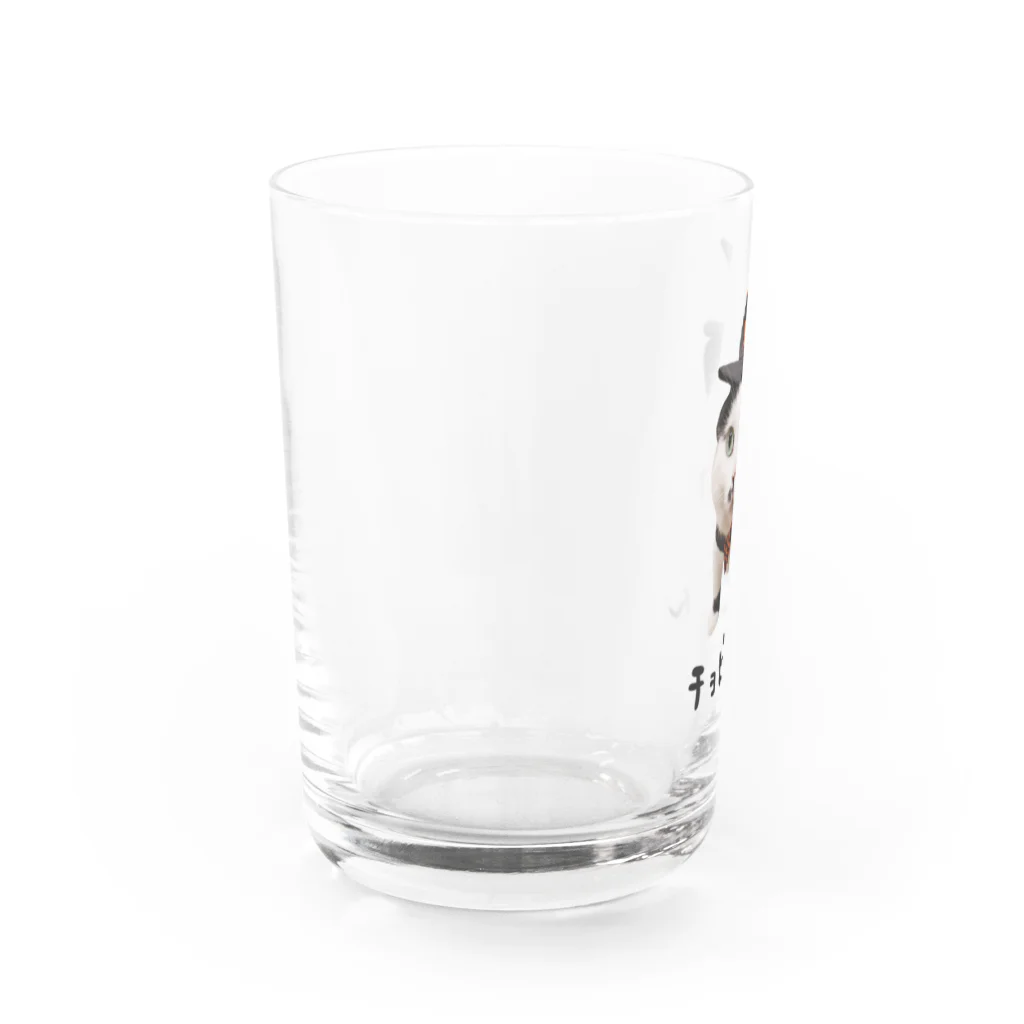 たんたん保護猫グッズのチョビオくん Water Glass :left