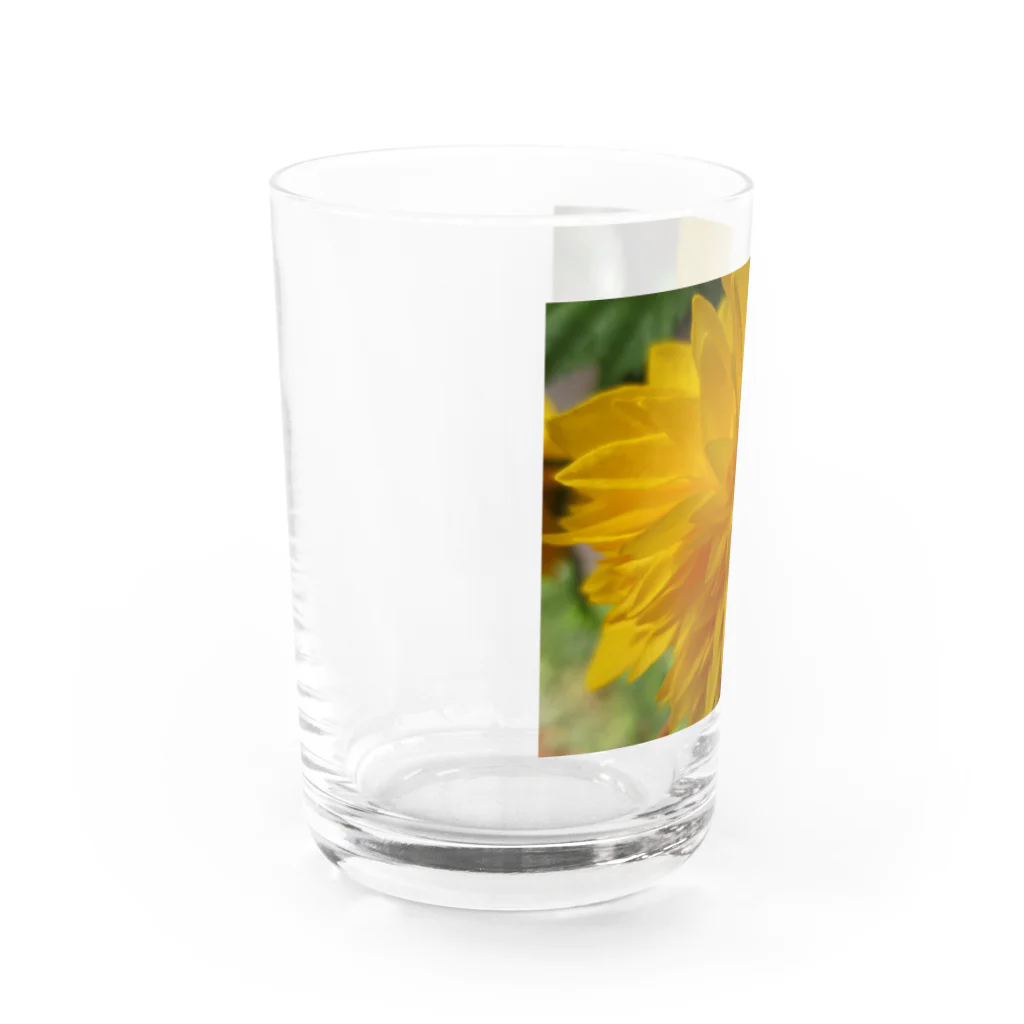 Dreamscape(LUNA)の輝きを求めて・・・ Water Glass :left