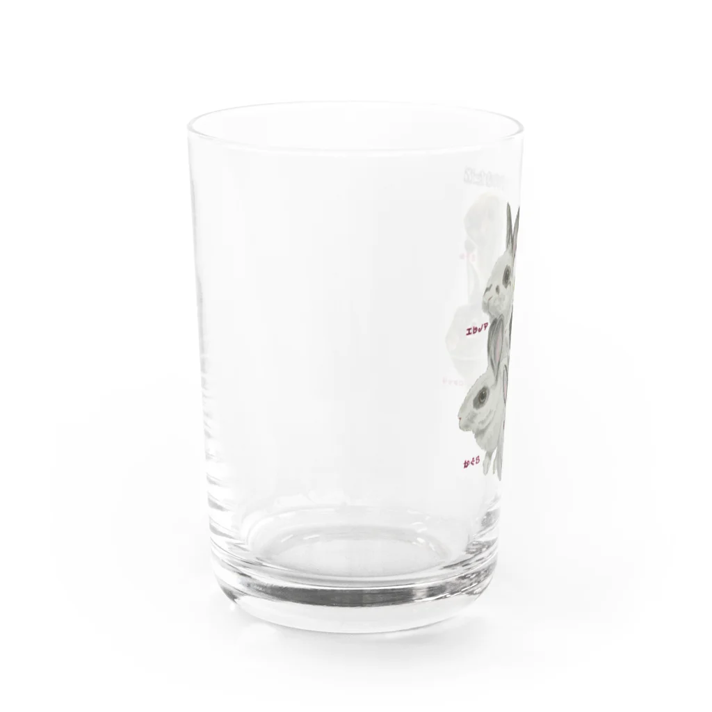 🐇のんくく🐇(❤️くろえ君❤️)のうさぎのきた道 名入 保護うさぎ  Water Glass :left