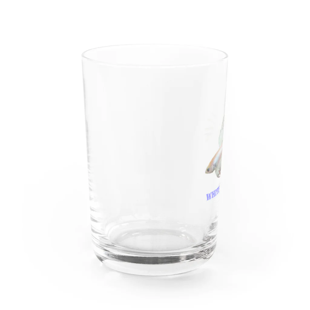 プルーミィグッズのホワイトベタ Water Glass :left