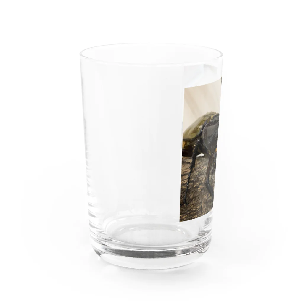 Kanjiのヘラクレスヘラクレス Water Glass :left