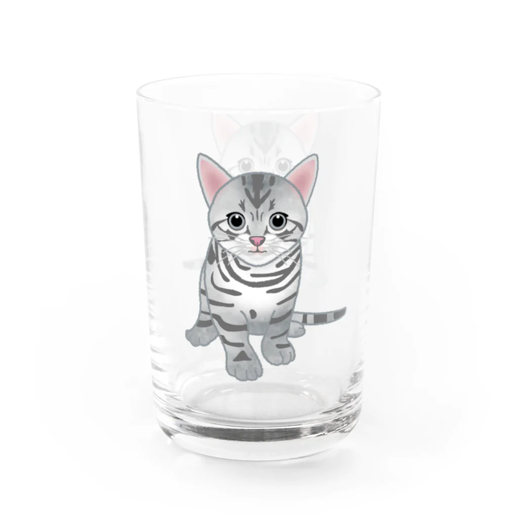 itaxmenworksのもう猫なんて嫌い！アメリカンショートヘア Water Glass :left