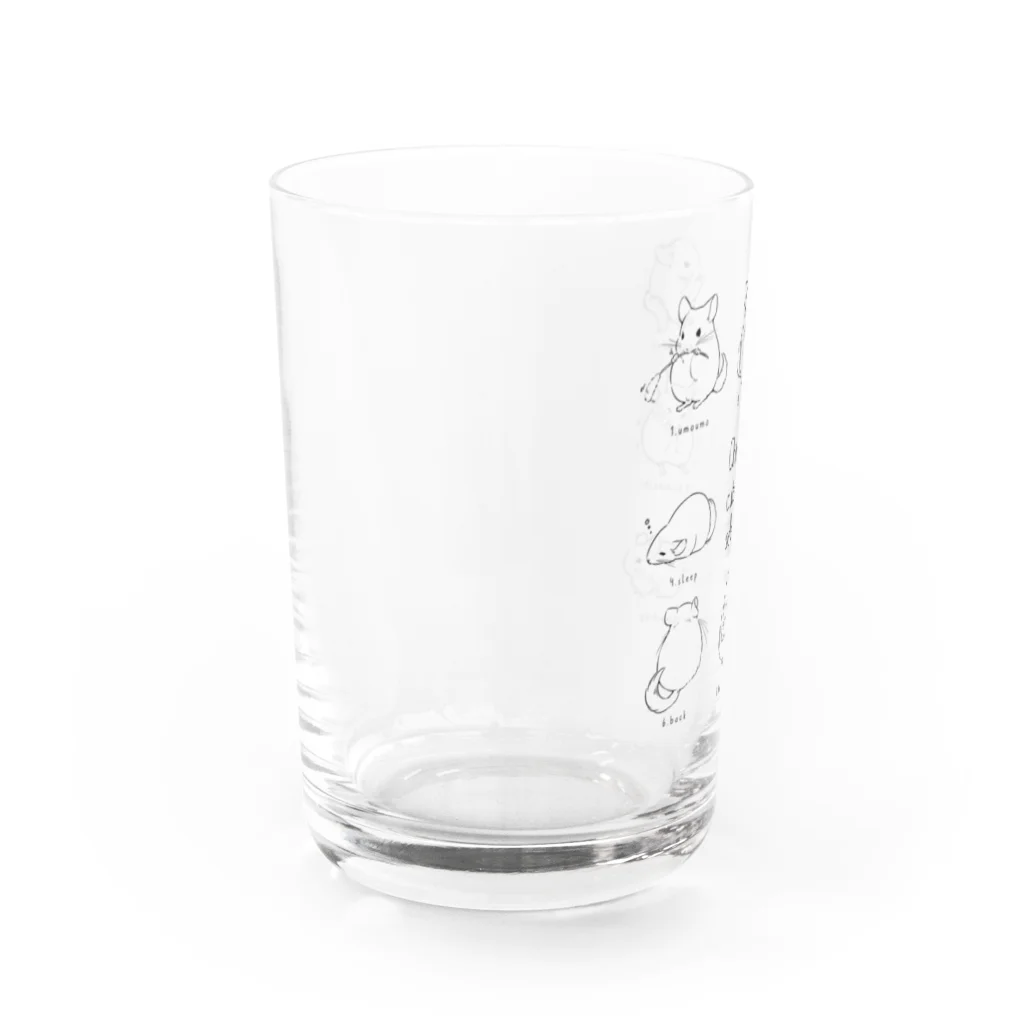 chouchouのChinchilla cute pose selection(KURO) Water Glass :left