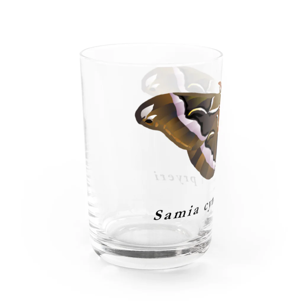 セセリのシンジュサン Water Glass :left