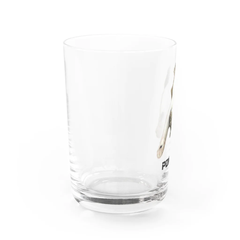 poncatのぽんです Water Glass :left