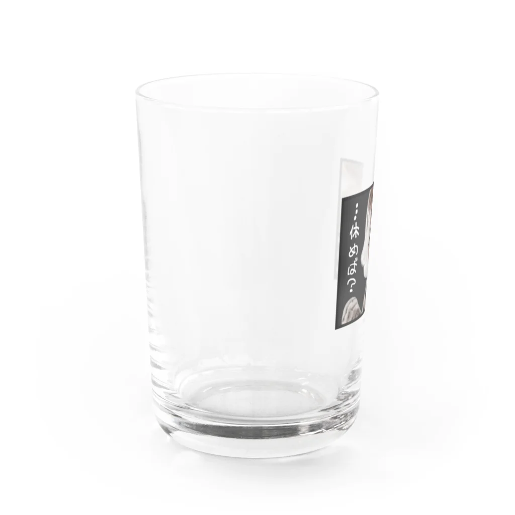 布袋腹ストアのきゅうけいぬこ Water Glass :left