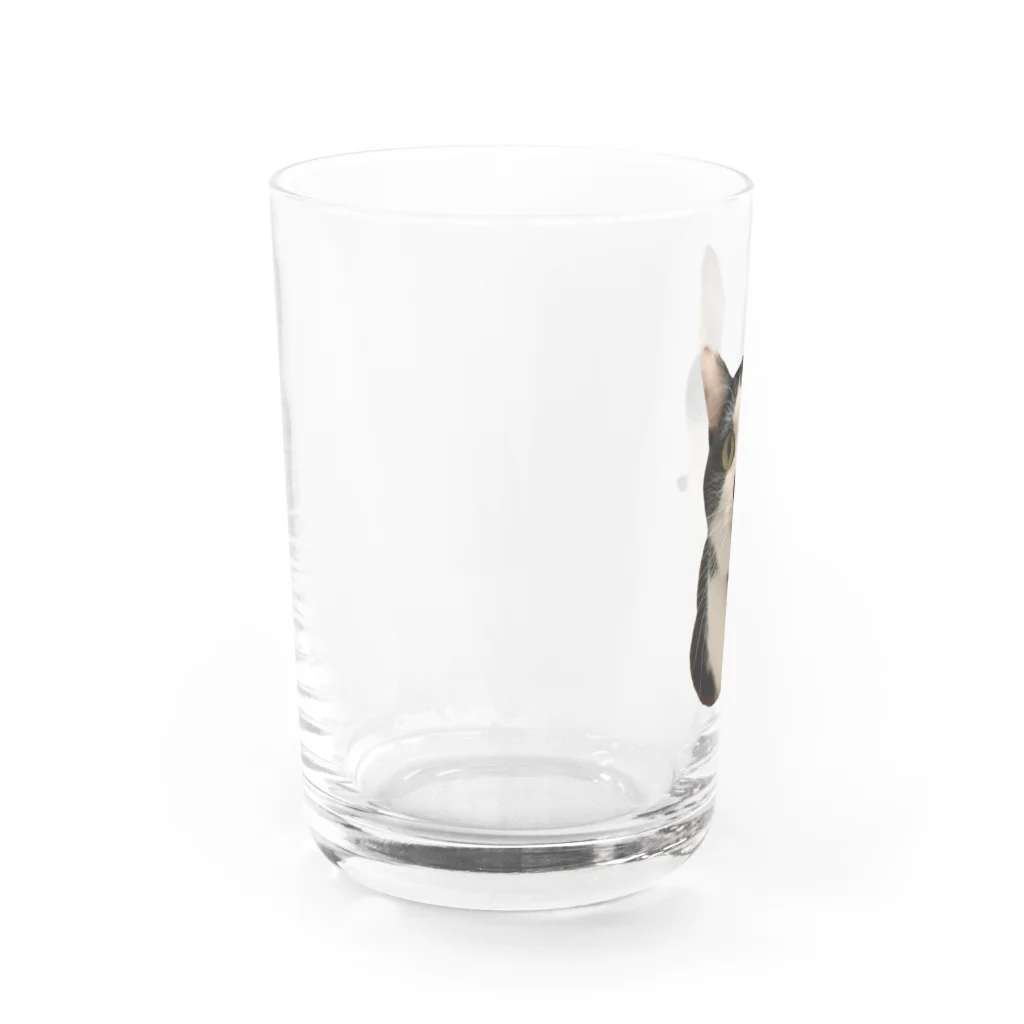 アトリエみけこのぼたんちゃん　その1 Water Glass :left