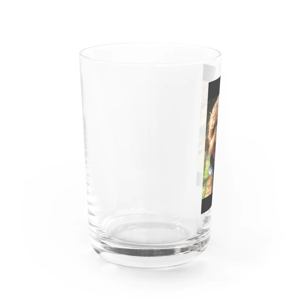 ハイビスカス🌺のトイプードルのもこ Water Glass :left