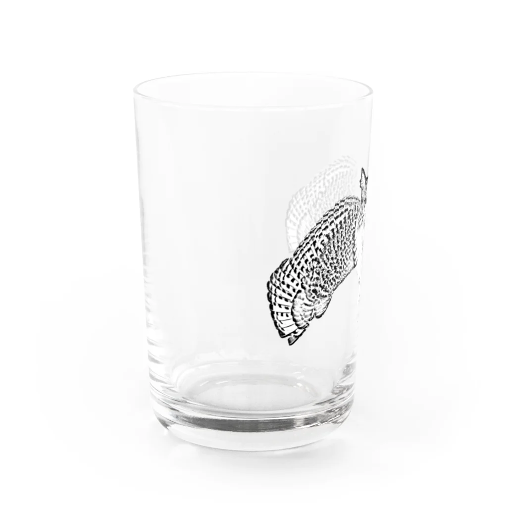 ネコミミズク　NekoMimizukuのネコミミズク－モノクロ Water Glass :left