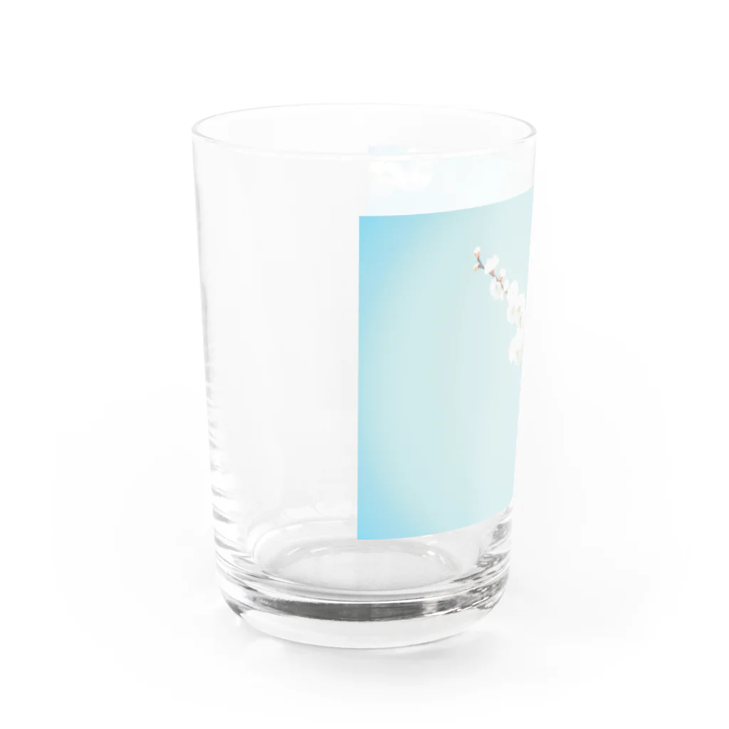 はいち。の春来たり Water Glass :left