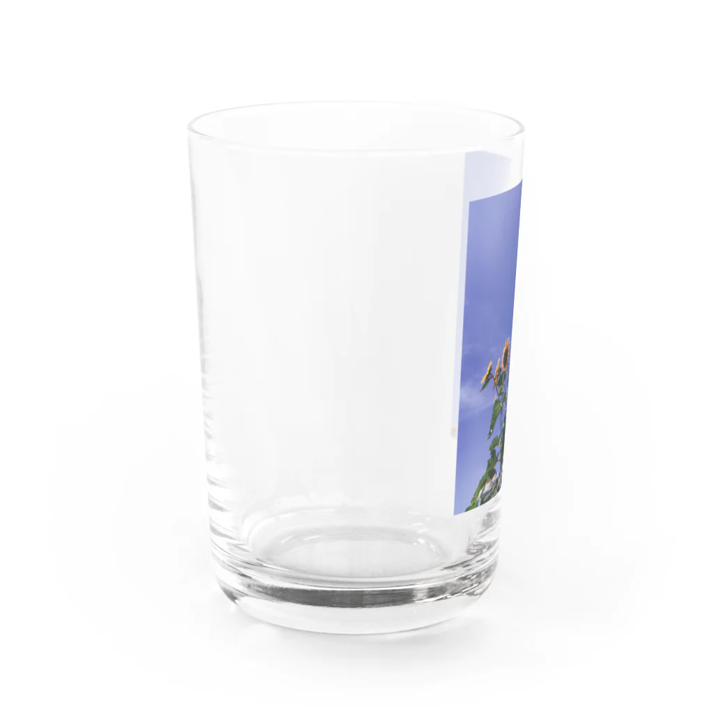 They call me"sambo"のひまわり Water Glass :left