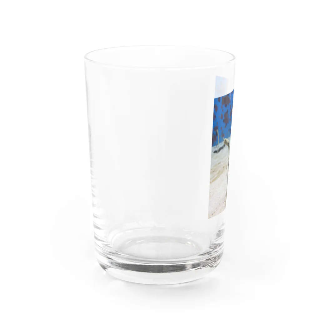 Yuri ¨̮のチンアナゴ Water Glass :left