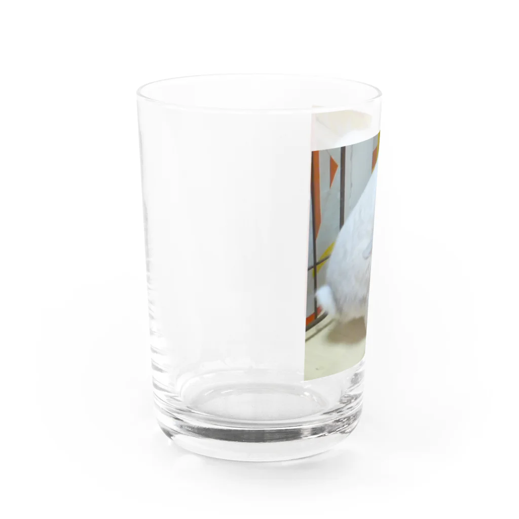 うさぎはうすのぶつぶつぶーちゃん Water Glass :left