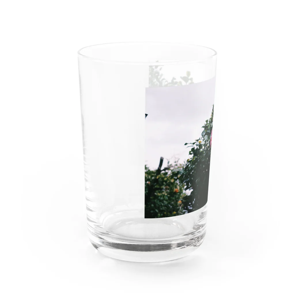 asa.fのツバキ Water Glass :left