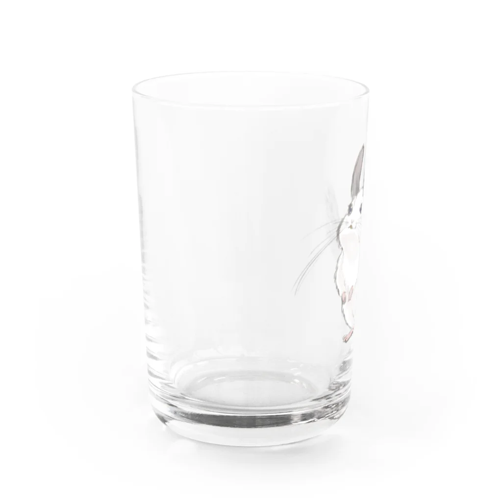 ニアコのチンチラパイドちゃん Water Glass :left