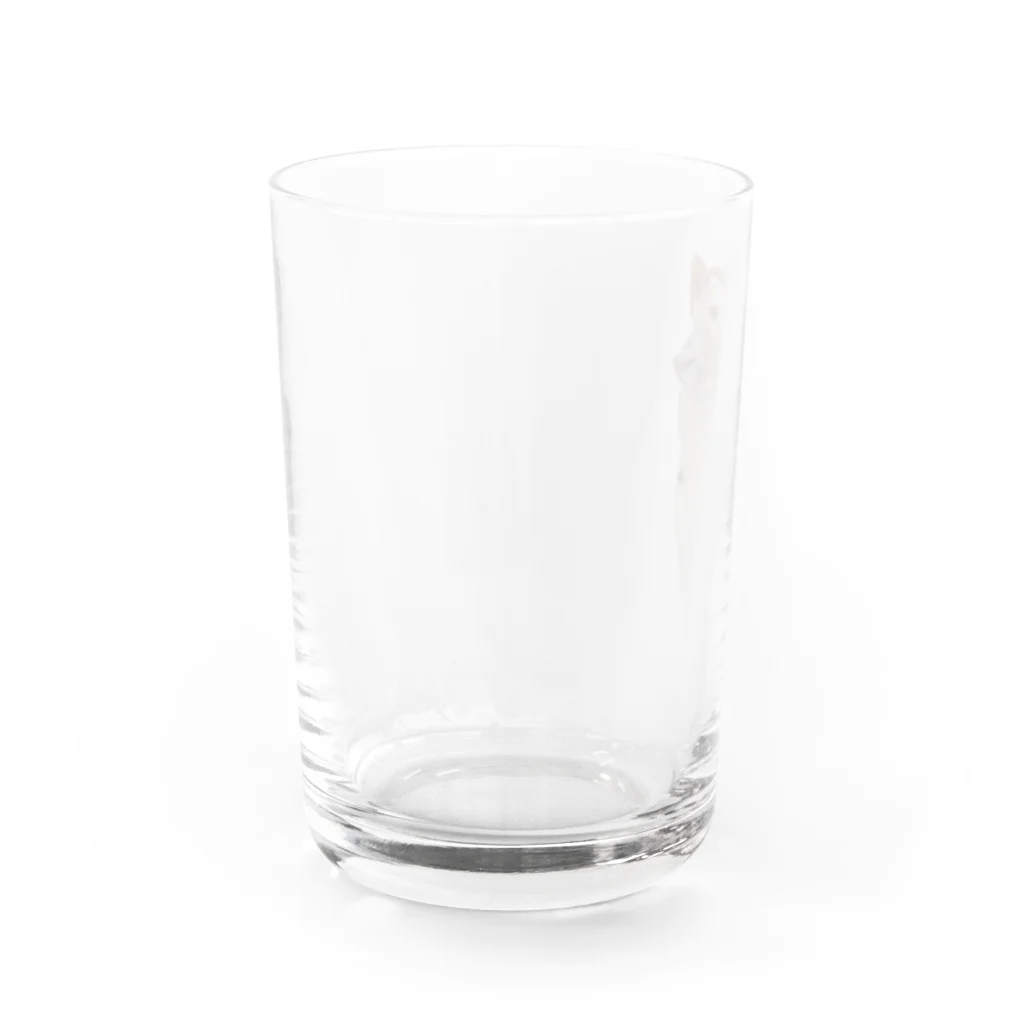 りずママの立ち猫華っち Water Glass :left