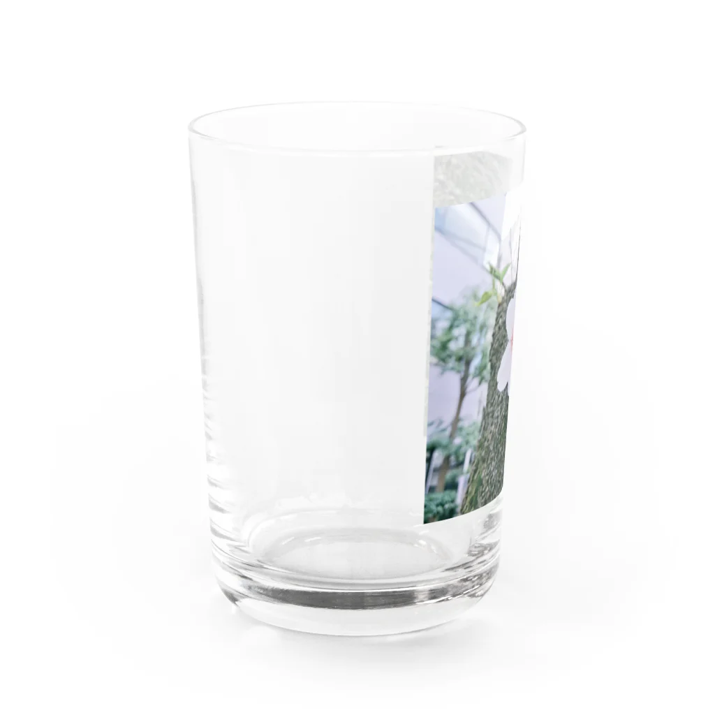 古春一生(Koharu Issey)の咲き誇れ、先の事など考えず。 Water Glass :left