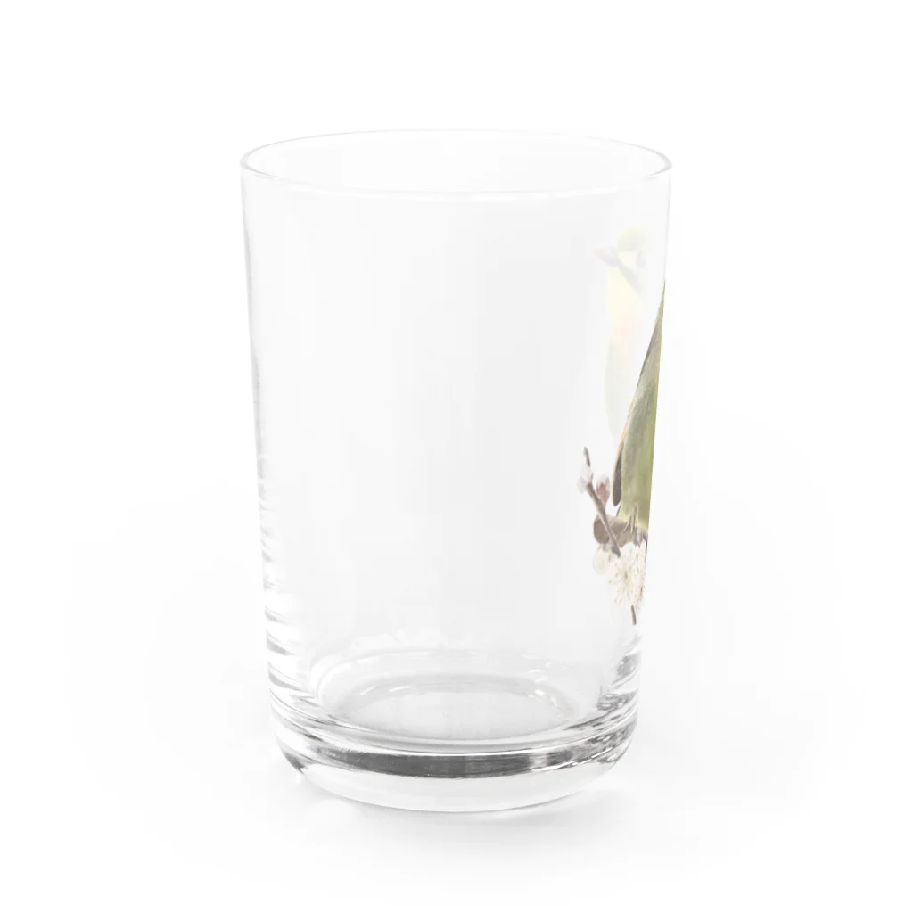 たんぼくのソウシチョウさん Water Glass :left