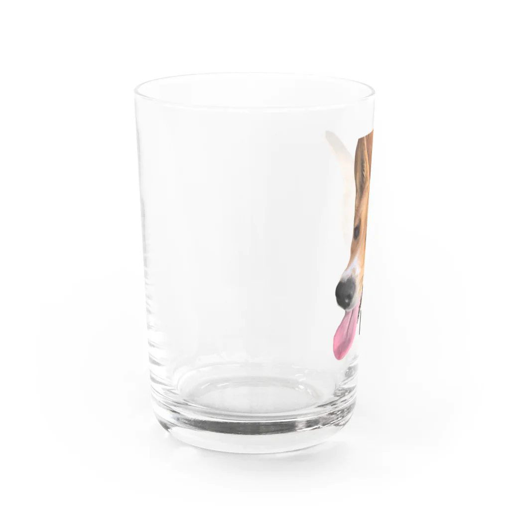 Ikukoの紀州犬　REN Water Glass :left