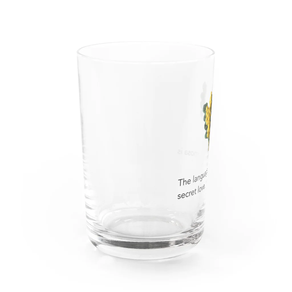 LePuyのmimosa花言葉 Water Glass :left