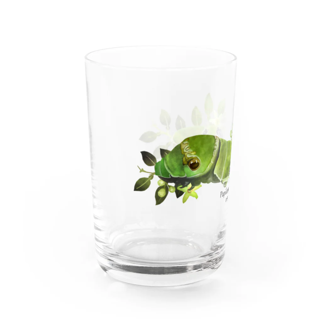 OJIKのクロアゲハイモムシ Water Glass :left