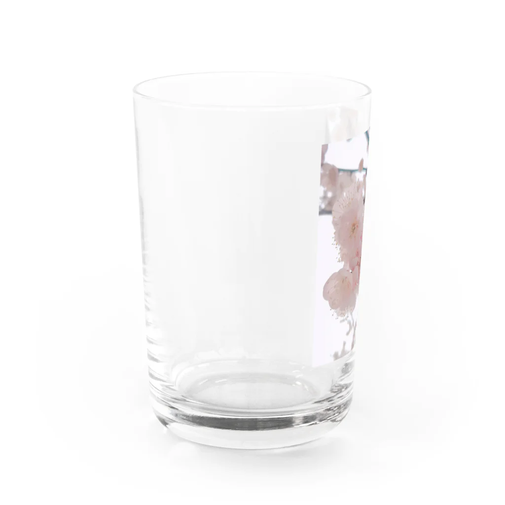 蒼の工房のおはな(梅) Water Glass :left