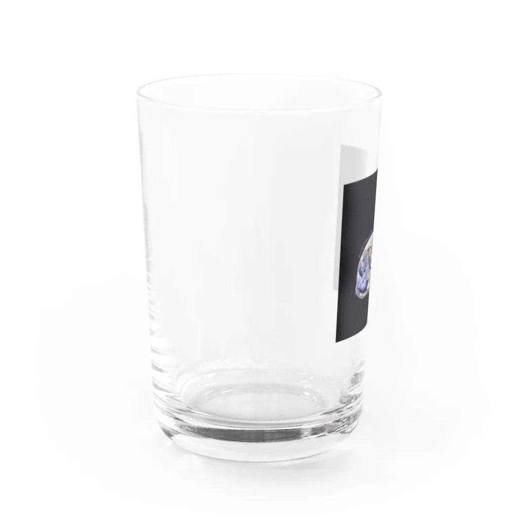 Fios shopのsprezzaturaスフィンクス Water Glass :left