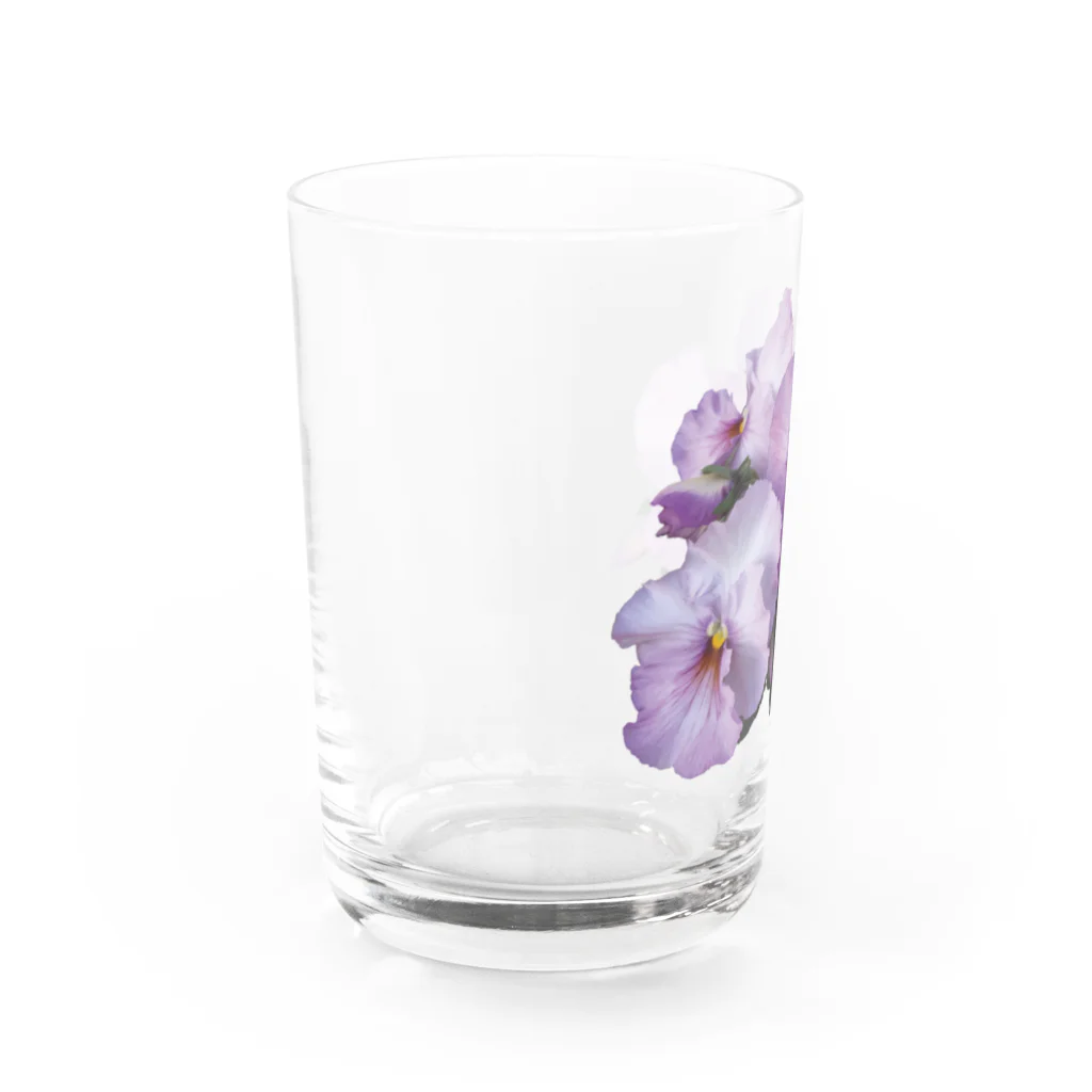 H2Styleのもうすぐ春ですね Water Glass :left