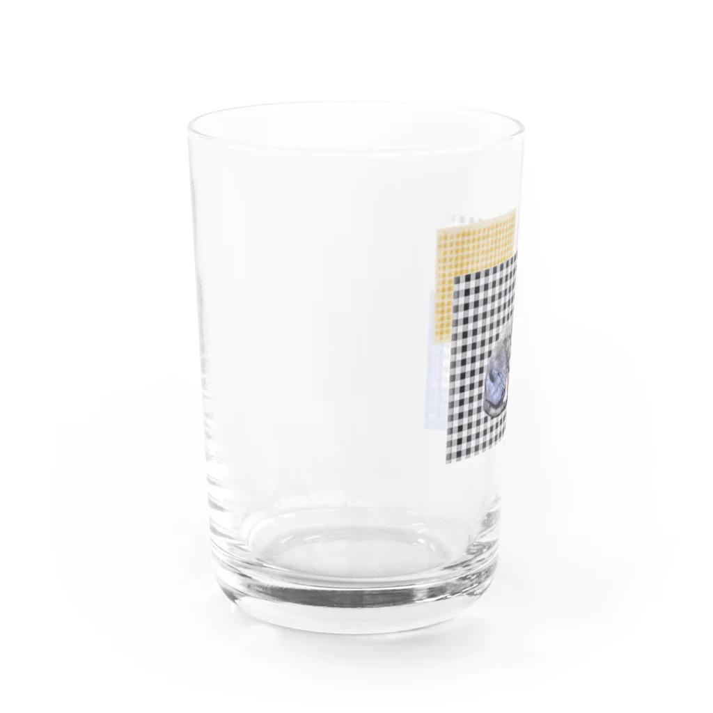 Fios shopのギンガムチェックスフィンクス Water Glass :left