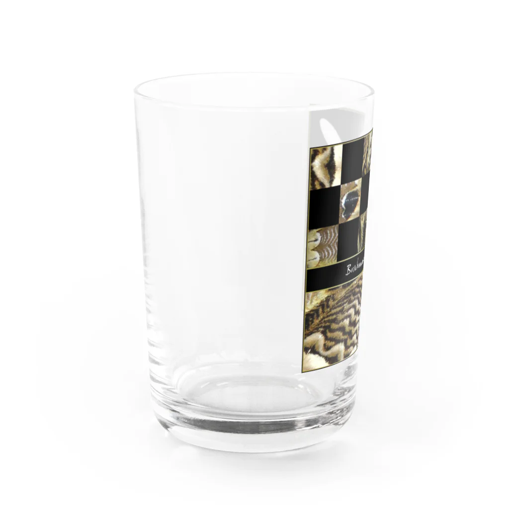 黒猫デザインのパッと見わからない　イボタガ　市松　黒 Water Glass :left