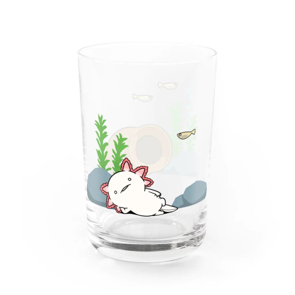 人生はウーパールーパーのくつろぐウーパールーパー Water Glass :left