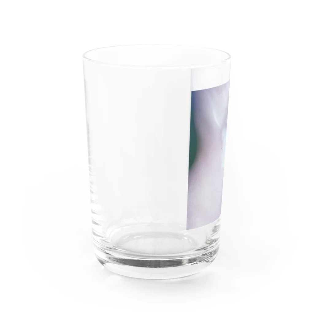 ゃんゃん(＞＜)ぼたいゃんのぼたいを飲んで目指そう健康体 Water Glass :left