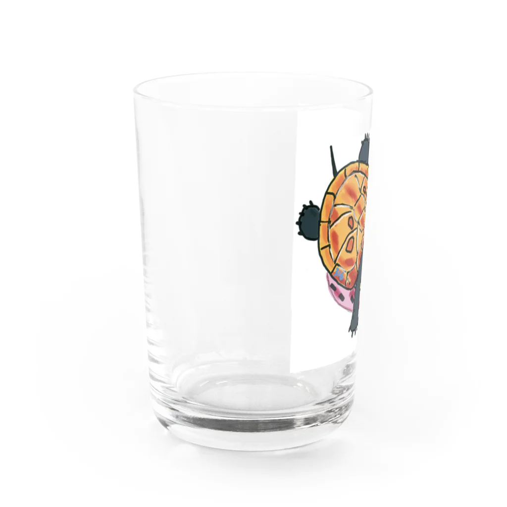 316(MIHIRO)の子亀のクサガメ Water Glass :left