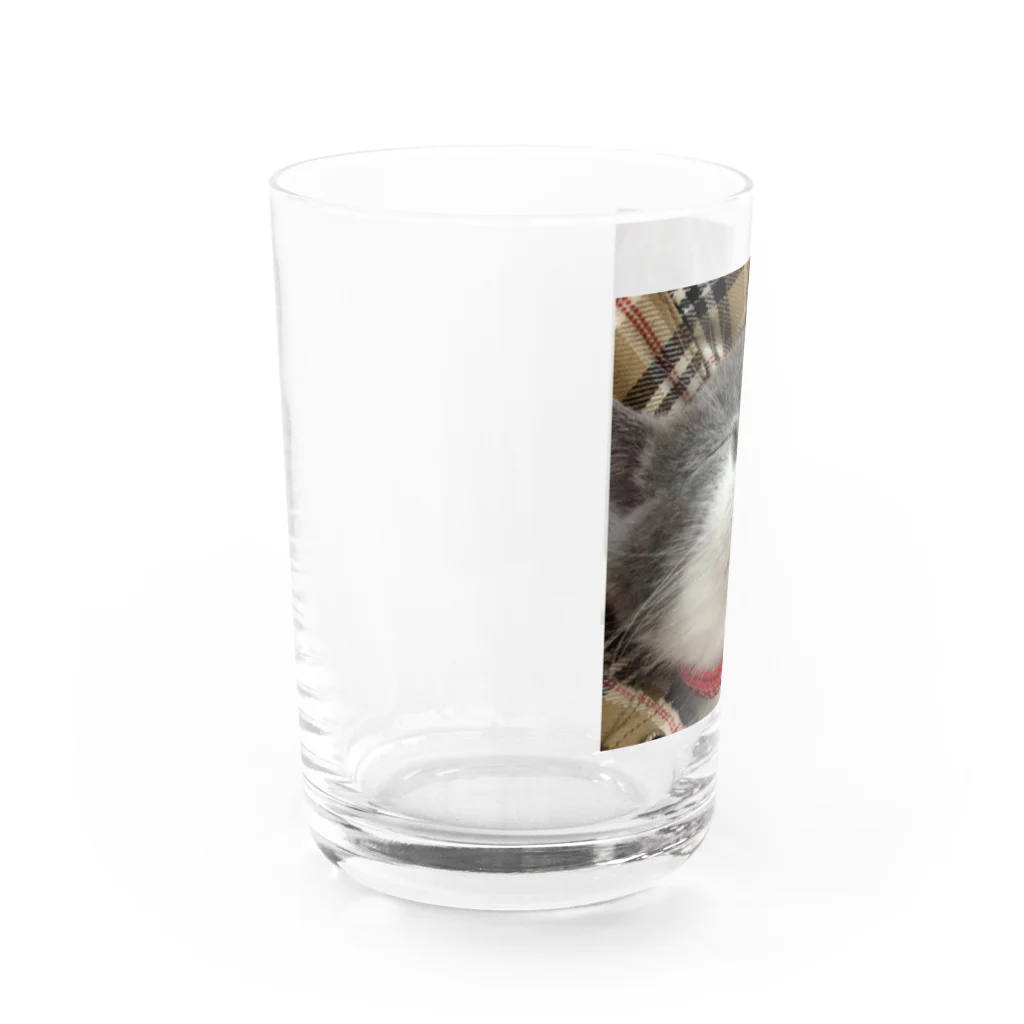 もも＆さるりーの子猫さるりー Water Glass :left