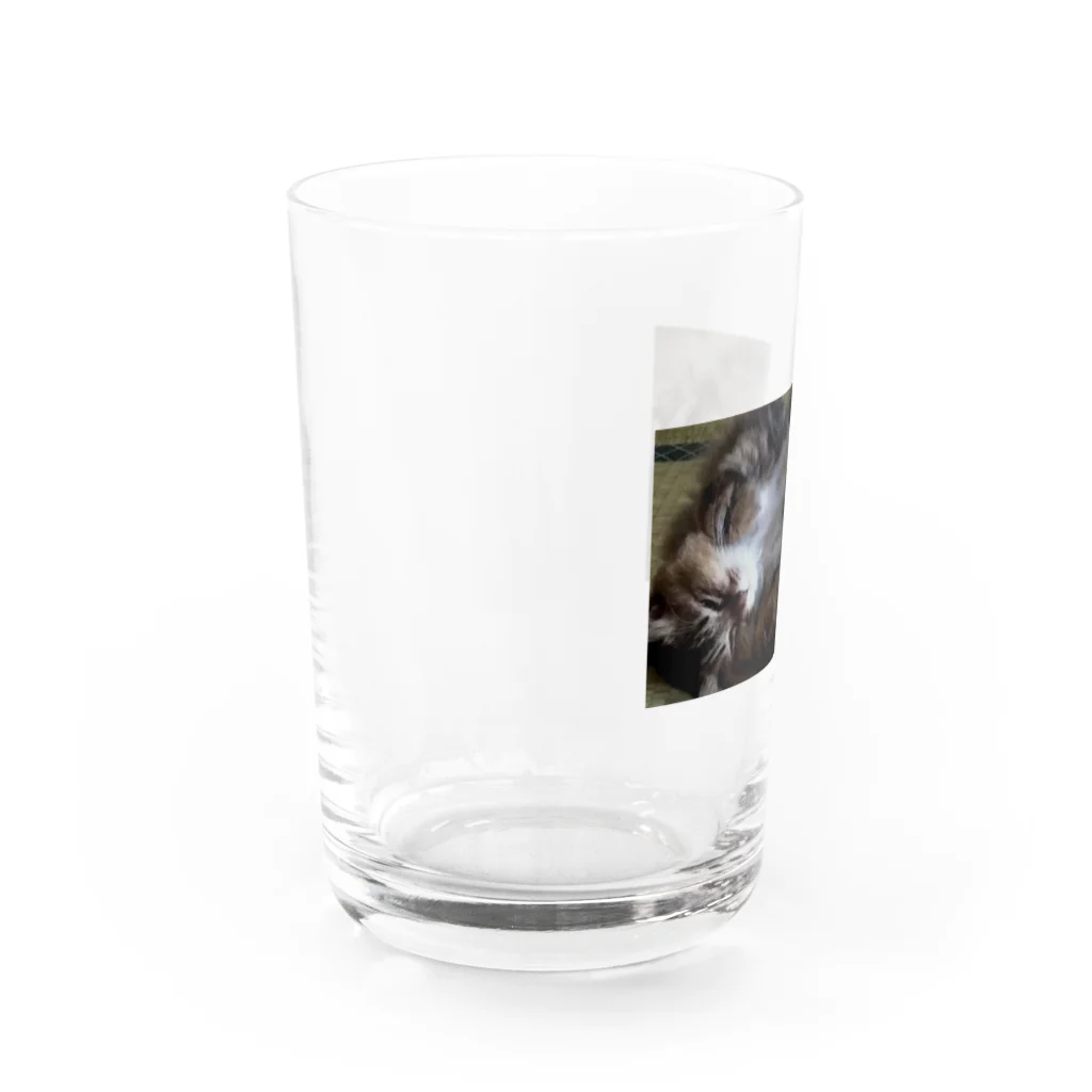 レオナんち～みことばと美味しいごはん～の旧約聖書 詩篇 150編6章 Water Glass :left