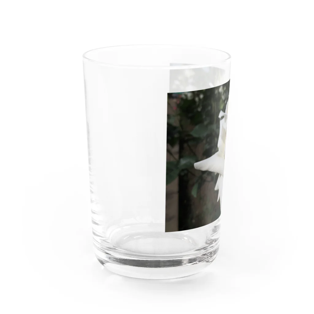 Dreamscape(LUNA)の純粋なる思い出 Water Glass :left