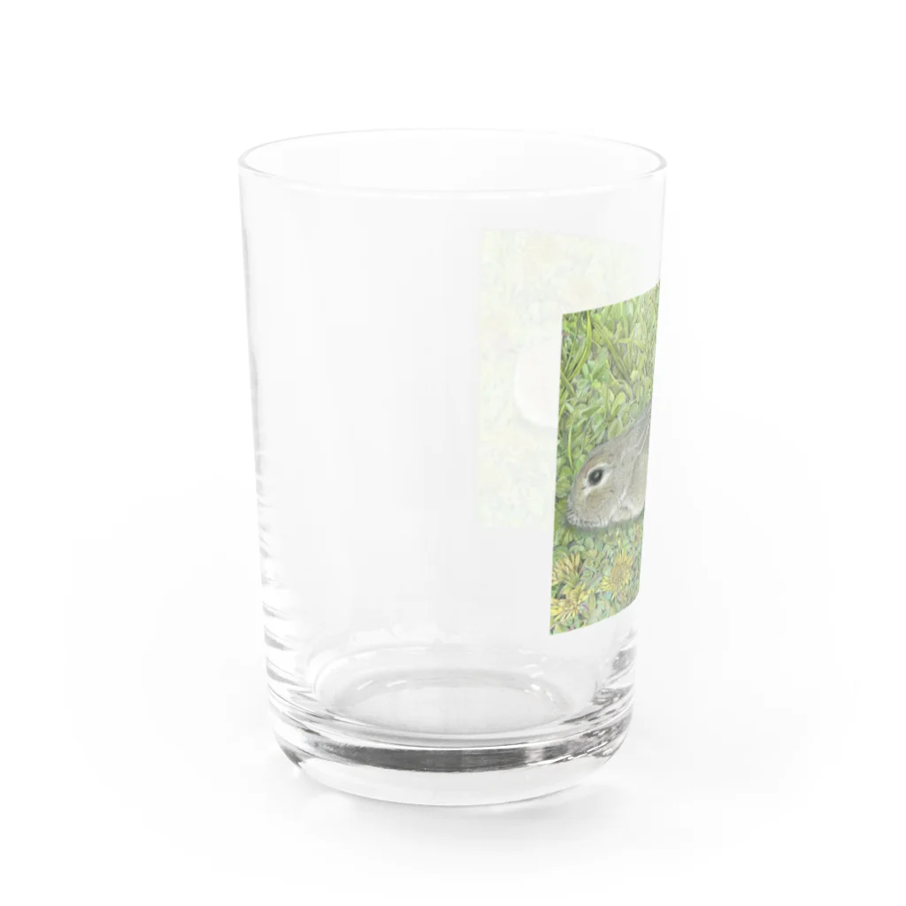 blue deer farmのうさんぽ日和 Water Glass :left