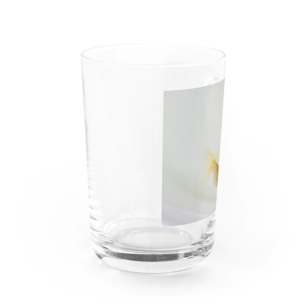 indigo_blueのらんちう　と　あぶく Water Glass :left