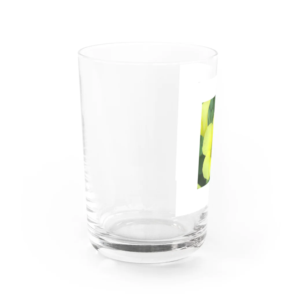 ムシロのお花 Water Glass :left