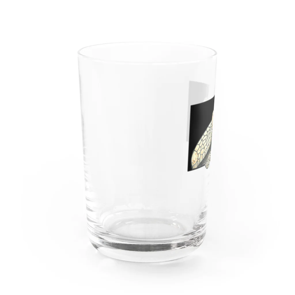 Leee_sanのムツオビアルマジロ Water Glass :left