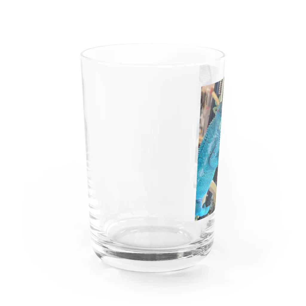 MEG's カメレオンのカメレオンのメレさん Water Glass :left