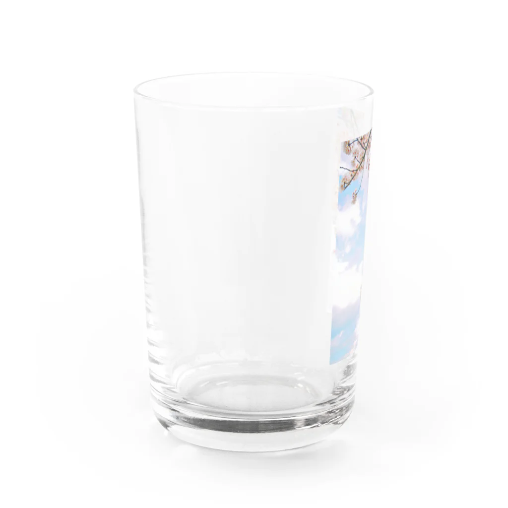 Tio Heartilの空と桜 Water Glass :left