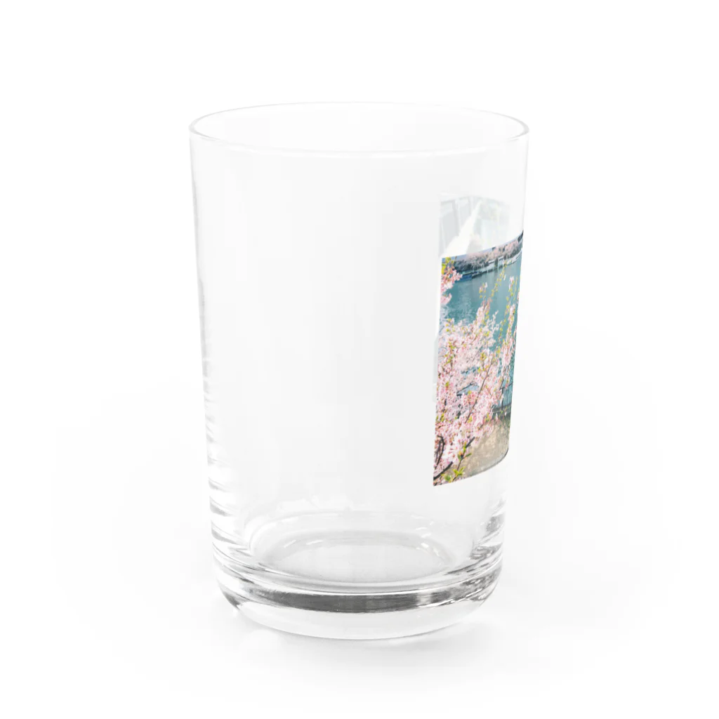 うさぎちゃんアイランドの葉桜天満橋 Water Glass :left