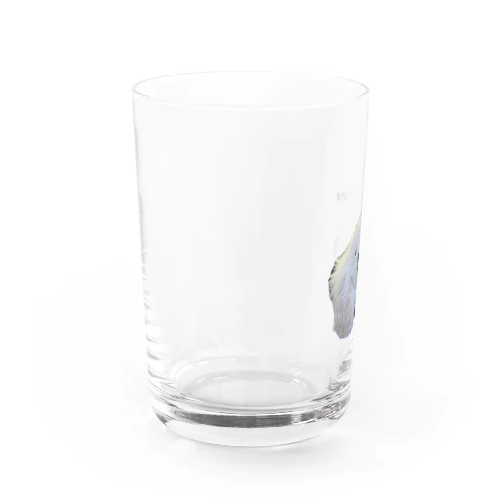 しんのすけのここちゃんグラス Water Glass :left