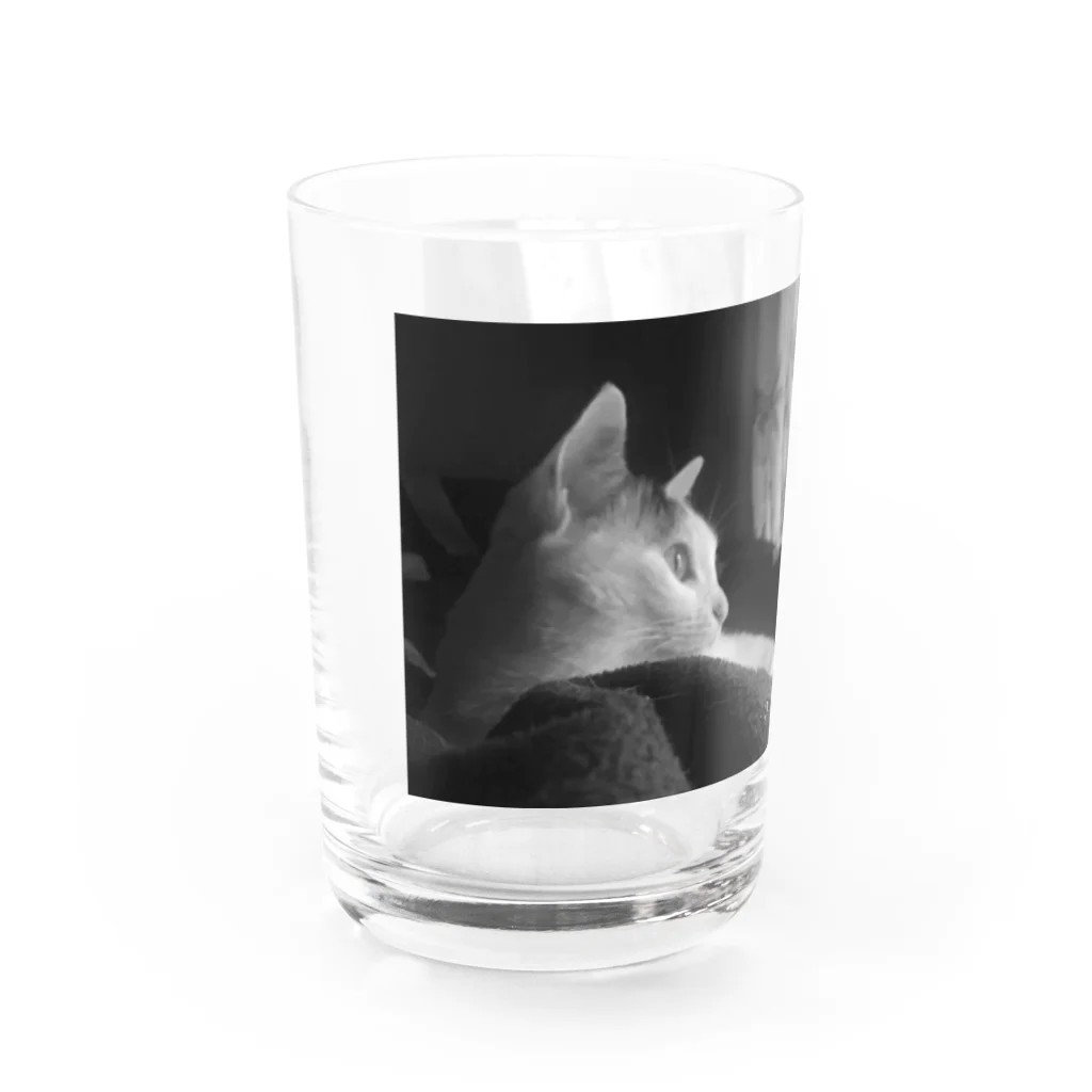 my dear catの鳥が気になる Water Glass :left