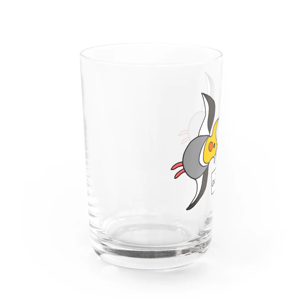 オカメインコとコーヒーの関係性について〜画伯さあしす在廊〜のツインオカメチドリ Water Glass :left