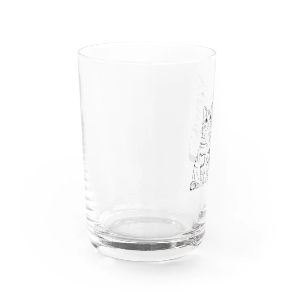 フヨンカコレクションの実家猫のカイとぽん Water Glass :left