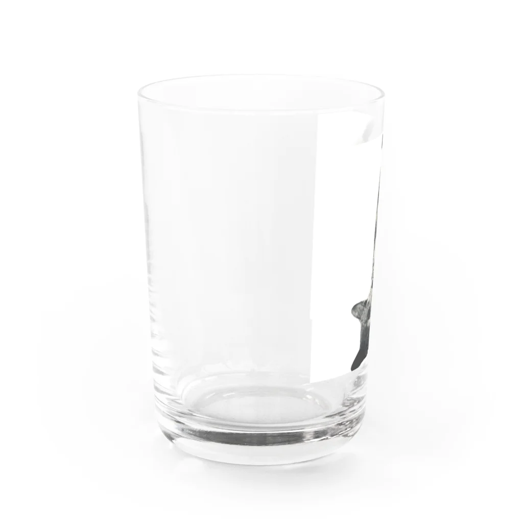 昭和猫の逆さ猫 Water Glass :left