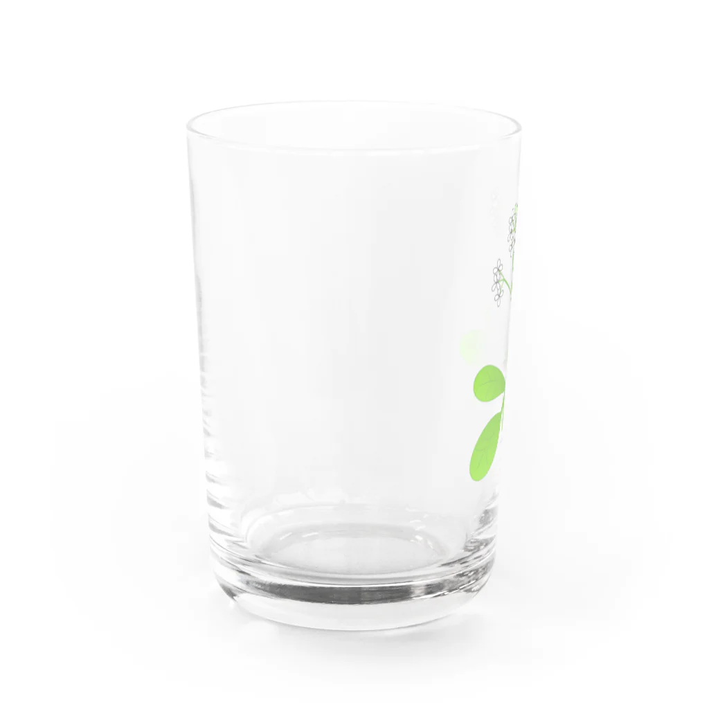 理系アイテムや生き物のお店のシロイヌナズナ Water Glass :left